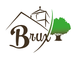 Retour vers l'accueil !